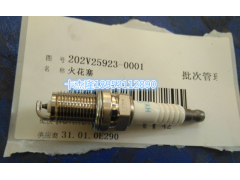 202V25923-0001,火花塞,濟南卡杰隆商貿有限公司