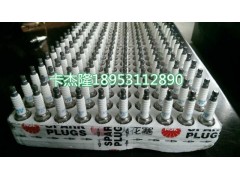 202V25923-0001,火花塞,濟南卡杰隆商貿有限公司