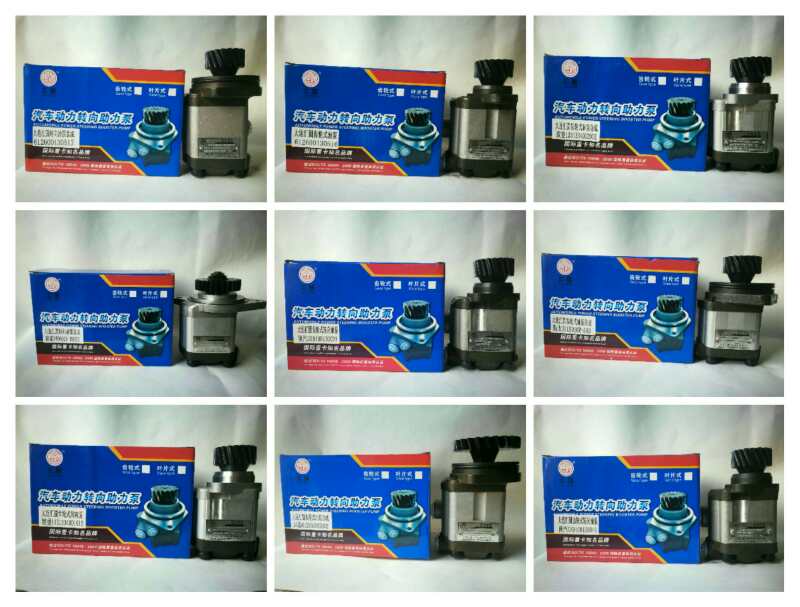 奧鈴齒輪泵/助力泵ZCB-1012L/84-4/QC/10-D10WX