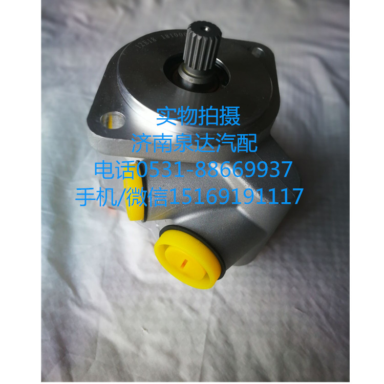 5802208782,轉向助力泵,濟南泉達汽配有限公司