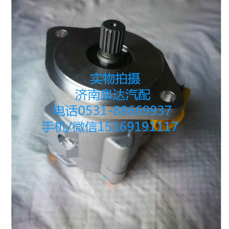 5802208782,轉向助力泵,濟南泉達汽配有限公司
