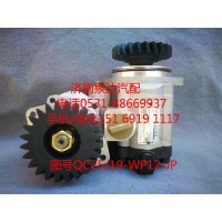 QC25/19-WP12-JP寬體礦用車齒輪式助力泵
