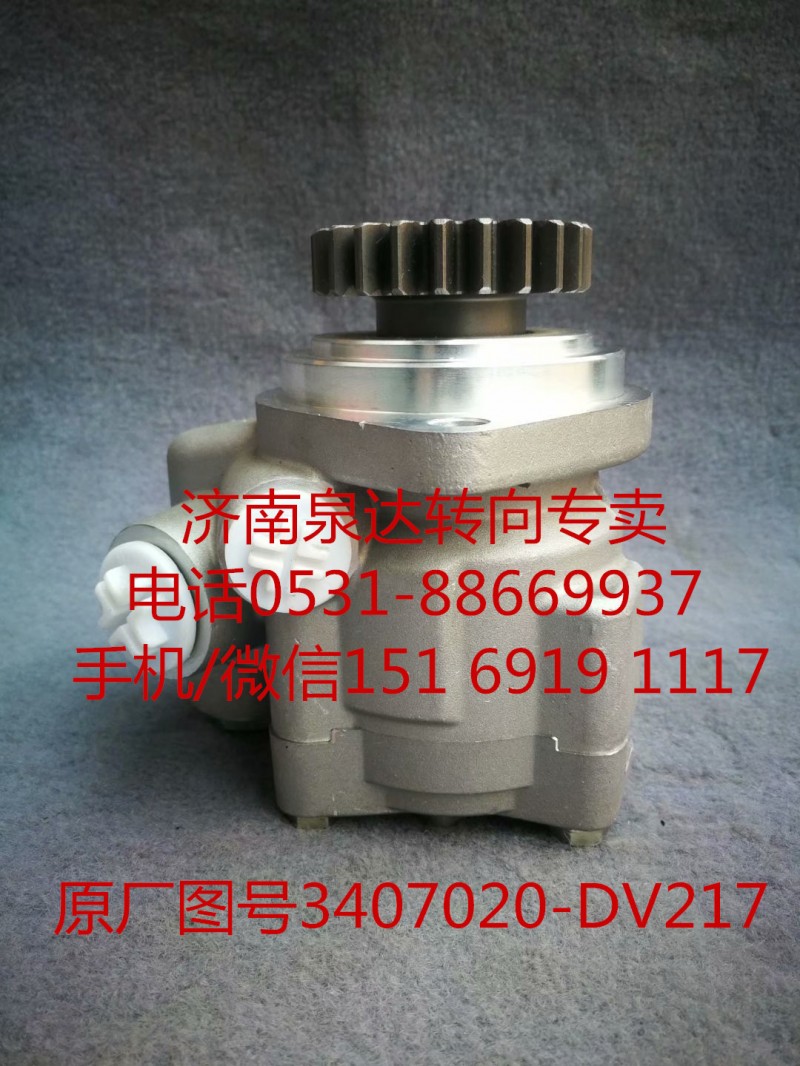一汽解放奧威 悍威 JH6 新大威 轉向助力泵 葉片泵/3407020-DV217