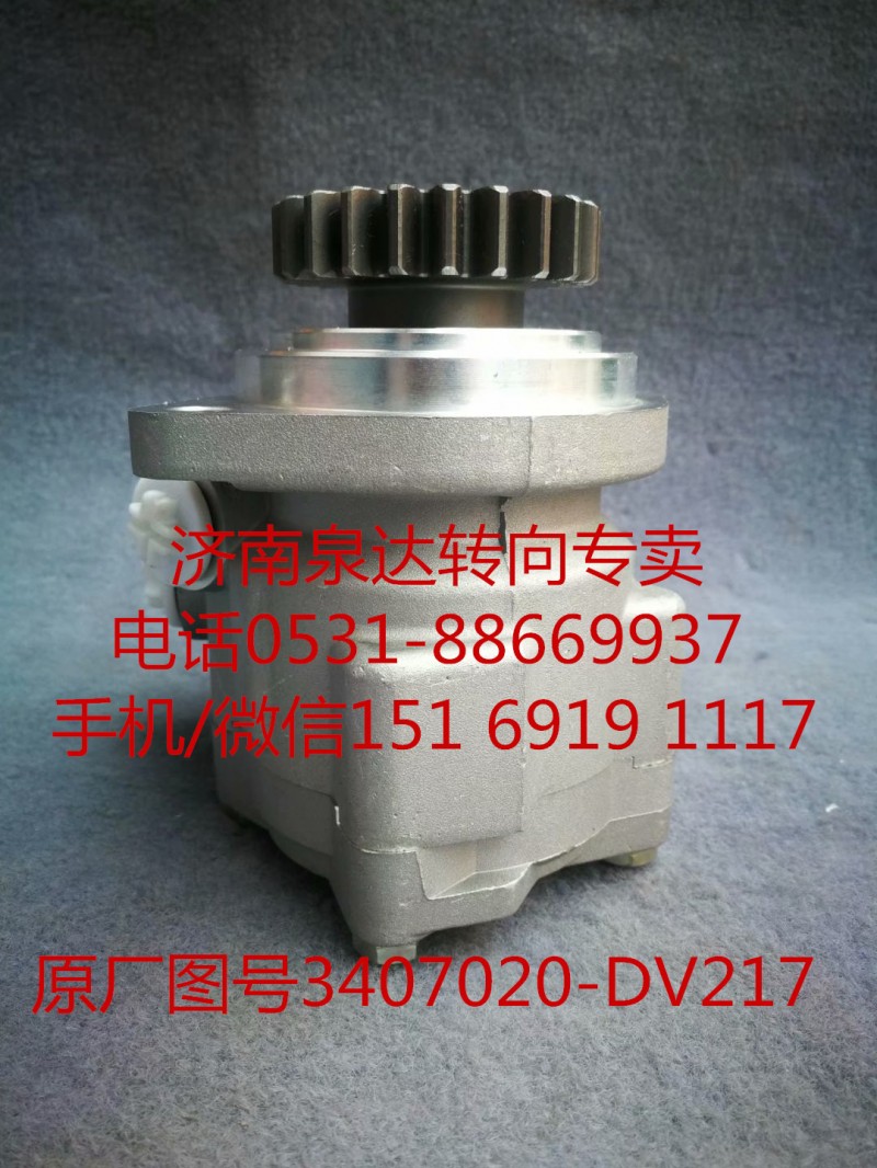 一汽解放奧威 悍威 JH6 新大威 轉向助力泵 葉片泵/3407020-DV217