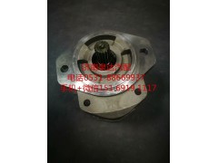 13034568,轉(zhuǎn)向助力泵,濟南泉達(dá)汽配有限公司
