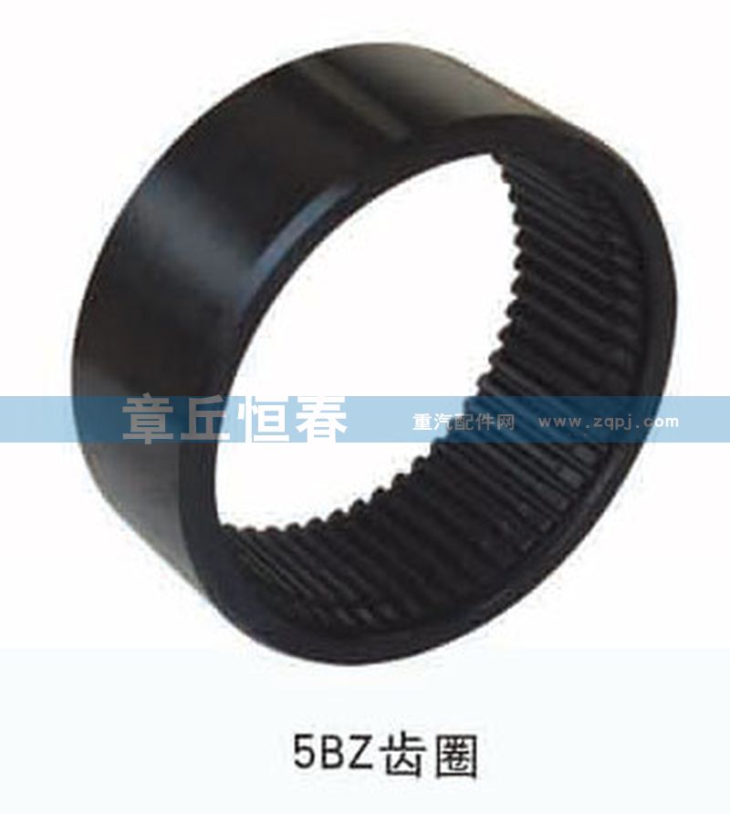 5BZ輪邊內齒圈/