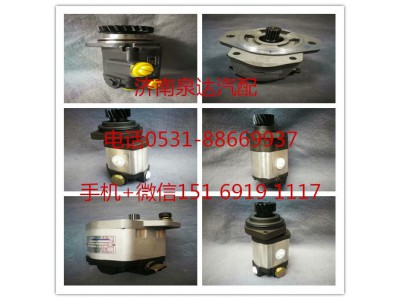 QC25/13-LT50,轉(zhuǎn)向助力泵,濟(jì)南泉達(dá)汽配有限公司