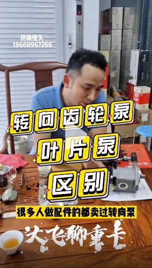 齒輪泵和葉片泵的區別