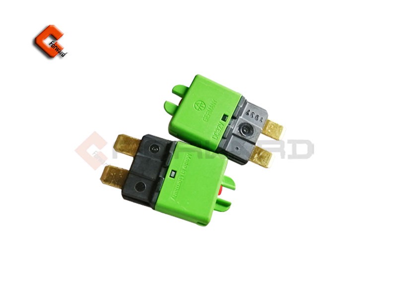 DZ9X189584307 自恢復式保險絲（AT1-30A）/DZ9X189584307