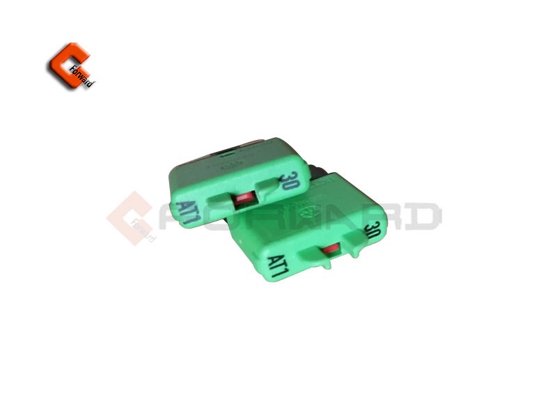 DZ9X189584307 自恢復式保險絲（AT1-30A）/DZ9X189584307