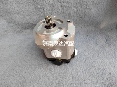 QC20/14-226B,轉向助力泵,濟南泉達汽配有限公司