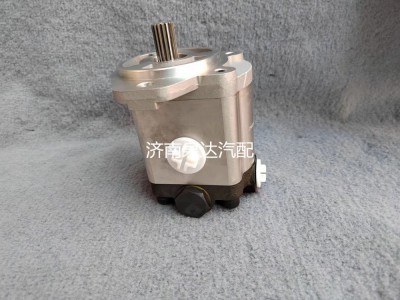 QC20/14-226B,轉向助力泵,濟南泉達汽配有限公司