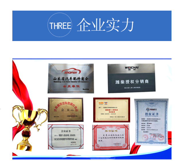 企業實力展示