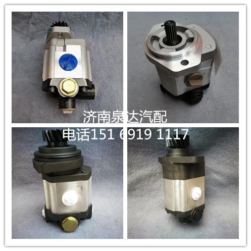 龍工壓路機(jī)上柴6114發(fā)動機(jī)液壓泵齒輪油泵助力泵/QC20/16-D14