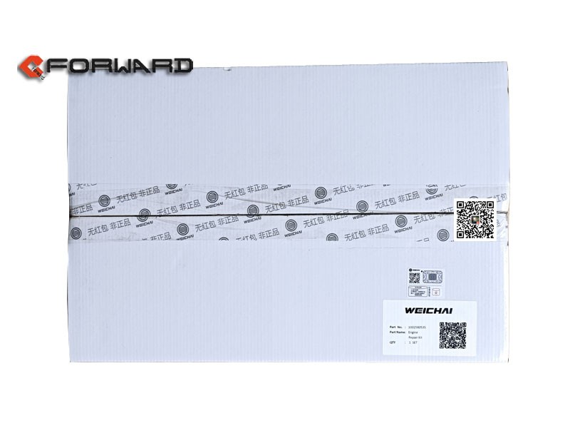 1002580535,Engine Gasket Kits,濟南向前汽車配件有限公司