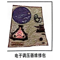 電子調壓器維修包