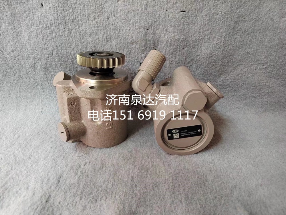 一汽青島解放奧威悍威新大威JH6轉向助力泵液壓油泵轉子泵/3407020-DF399