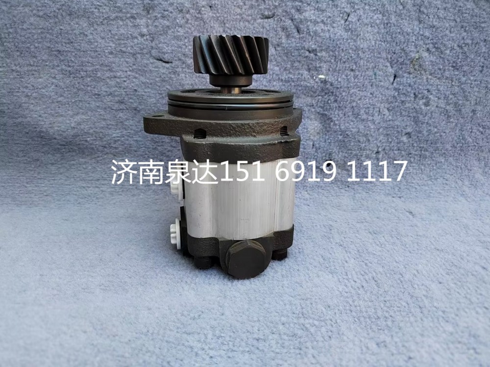濰柴WD615發(fā)動機轉向泵助力泵齒輪泵液壓油泵/TG56074710254