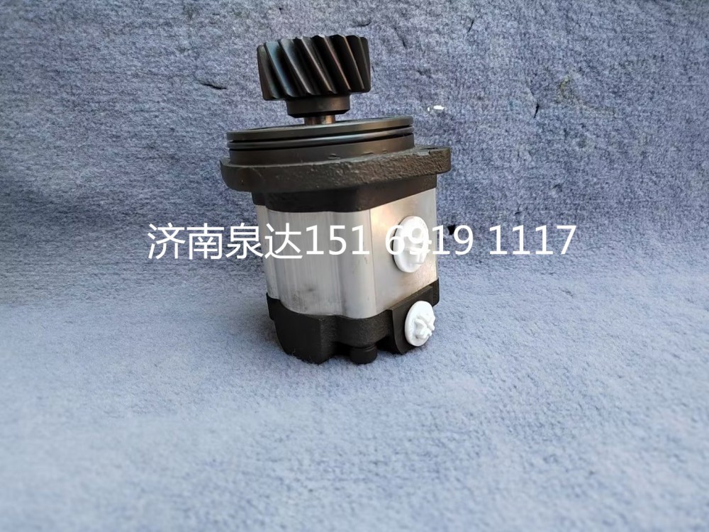 濰柴WD615發(fā)動機轉向泵助力泵齒輪泵液壓油泵/TG56074710254
