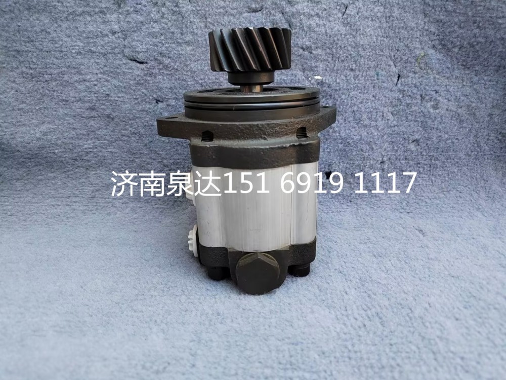 濰柴WD615發(fā)動機轉向泵助力泵齒輪泵液壓油泵/TG56074710254