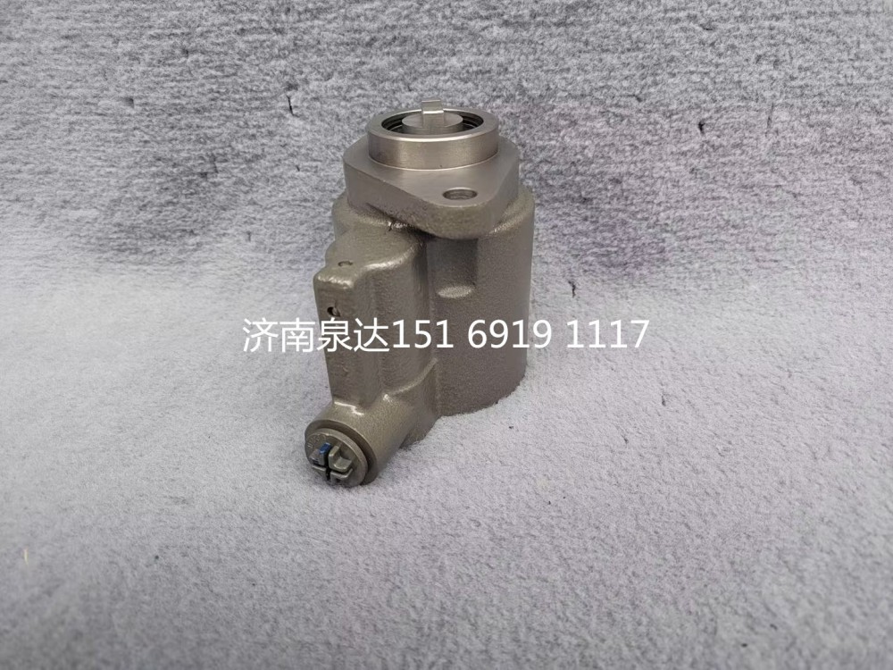 重汽豪沃豪曼悍將王牌統帥輕卡轉向泵助力泵液壓油泵/LG9704471140