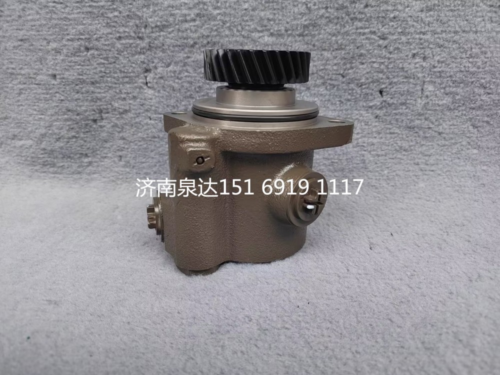 重汽豪沃豪曼悍將王牌統帥輕卡助力泵轉向泵液壓油泵/LG9716471923