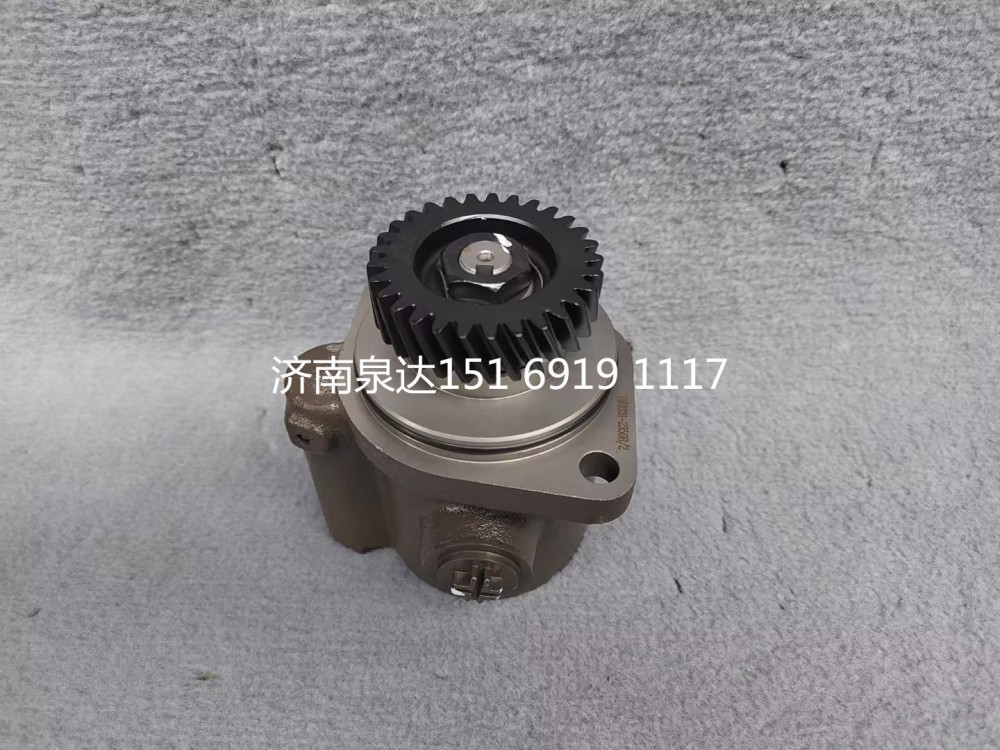重汽豪沃豪曼悍將王牌統帥輕卡助力泵轉向泵液壓油泵/LG9716471923