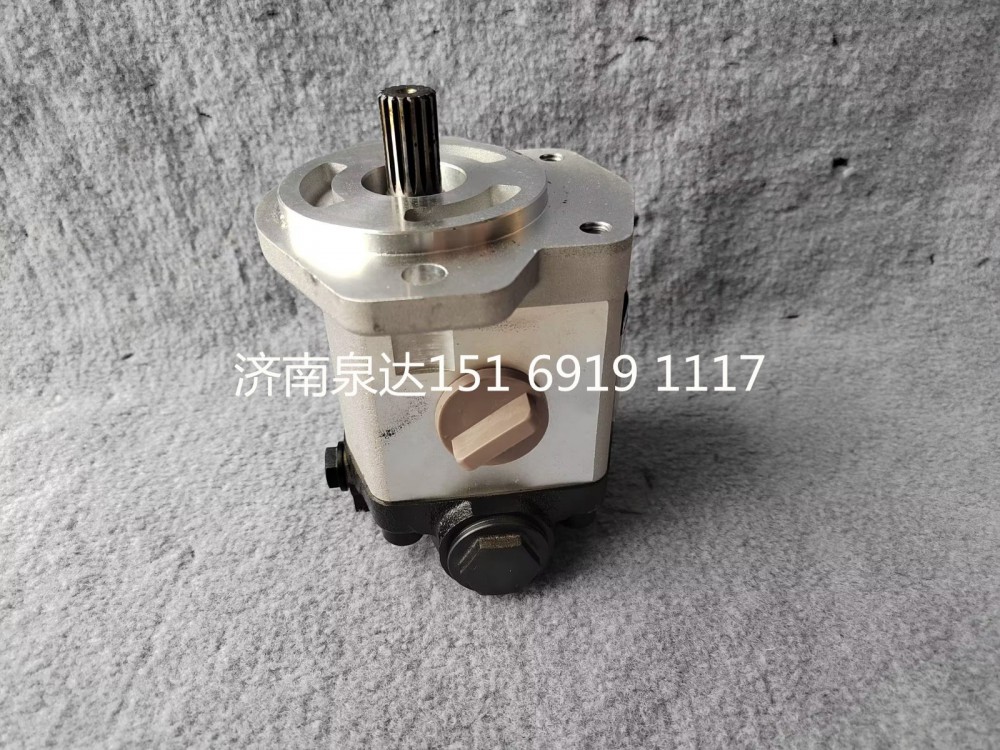 徐工起重機(jī)吊車轉(zhuǎn)向齒輪泵液壓泵助力泵/803000065