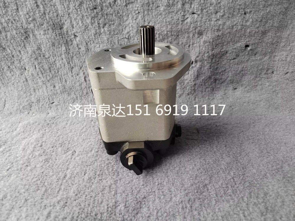 徐工起重機(jī)吊車轉(zhuǎn)向齒輪泵液壓泵助力泵/803000065