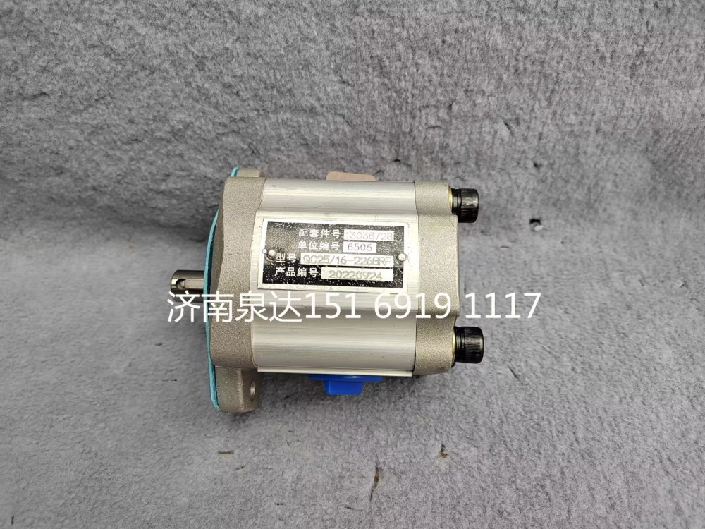 濰柴道依茨發動機轉向助力泵轉向泵液壓泵13038728/QC25/16-226BRF