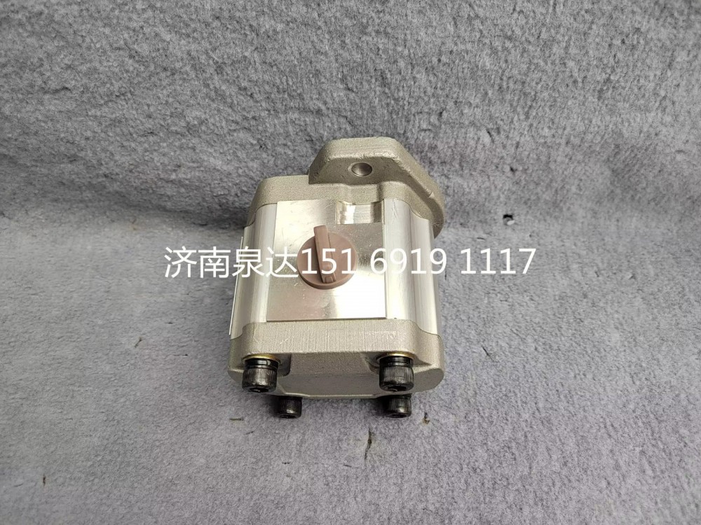 濰柴道依茨發動機轉向助力泵轉向泵液壓泵13038728/QC25/16-226BRF