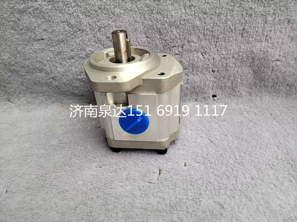濰柴道依茨發動機轉向助力泵轉向泵液壓泵13038728/QC25/16-226BRF