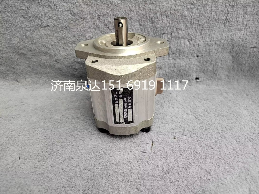 濰柴道依茨發動機轉向助力泵轉向泵液壓泵13038728/QC25/16-226BRF