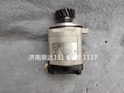 TG56074710284,轉向齒輪泵,濟南泉達汽配有限公司
