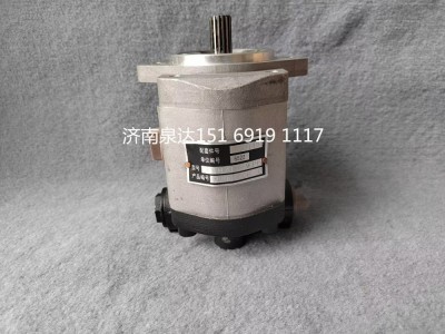 QC18/15-WP6,轉向助力泵,濟南泉達汽配有限公司