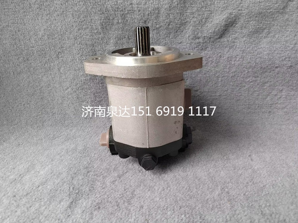 QC18/15-WP6,轉向助力泵,濟南泉達汽配有限公司