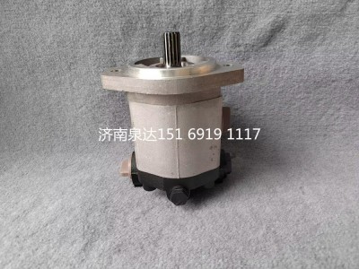 QC18/15-WP6,轉向助力泵,濟南泉達汽配有限公司