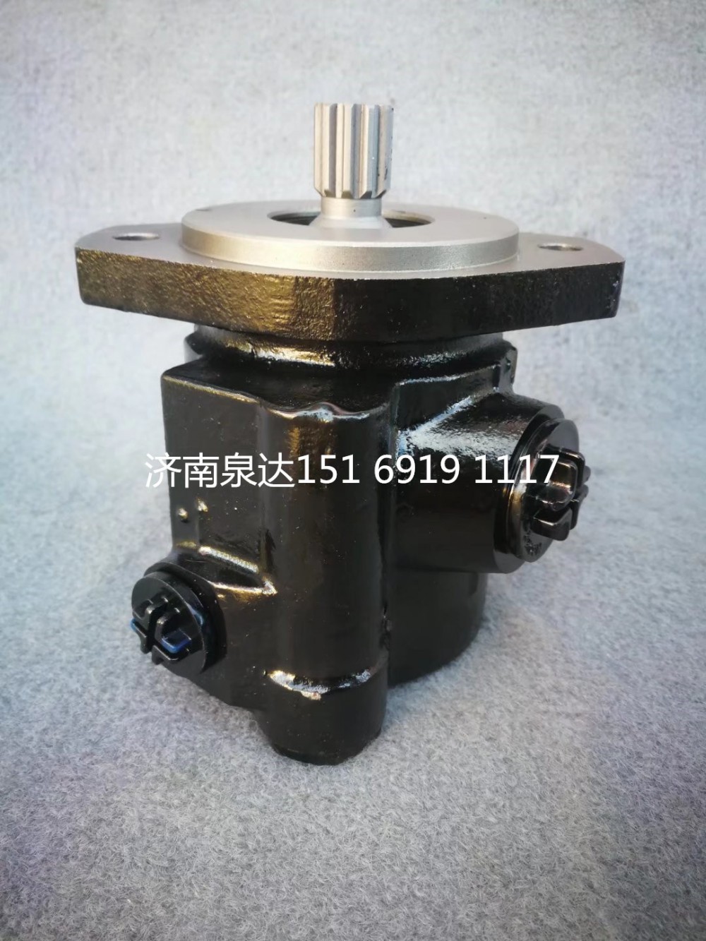 重汽輕卡楊柴2105發動機轉向泵助力泵液壓泵/LG9716471946