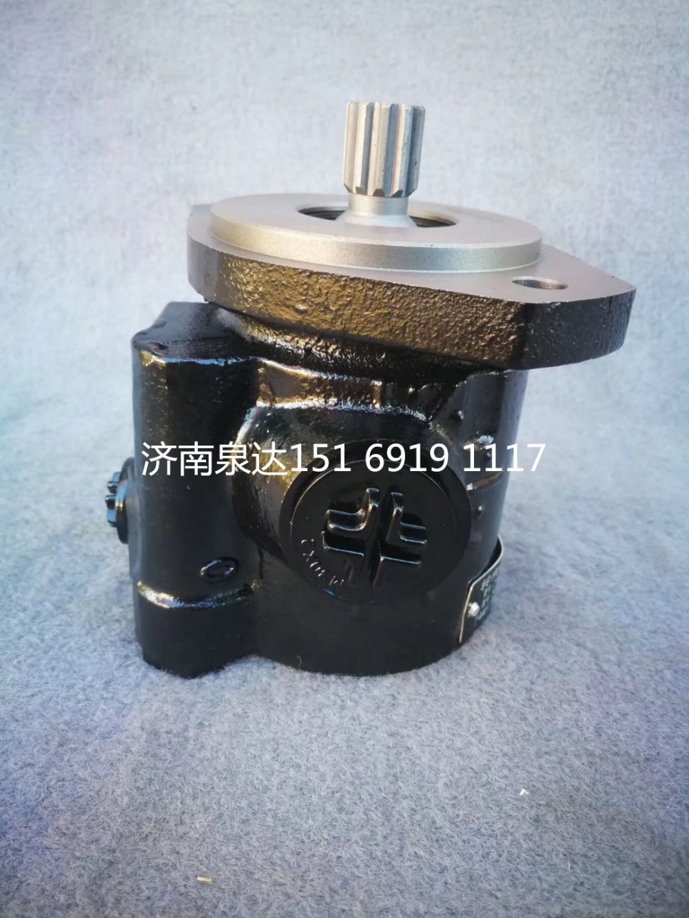重汽輕卡楊柴2105發動機轉向泵助力泵液壓泵/LG9716471946