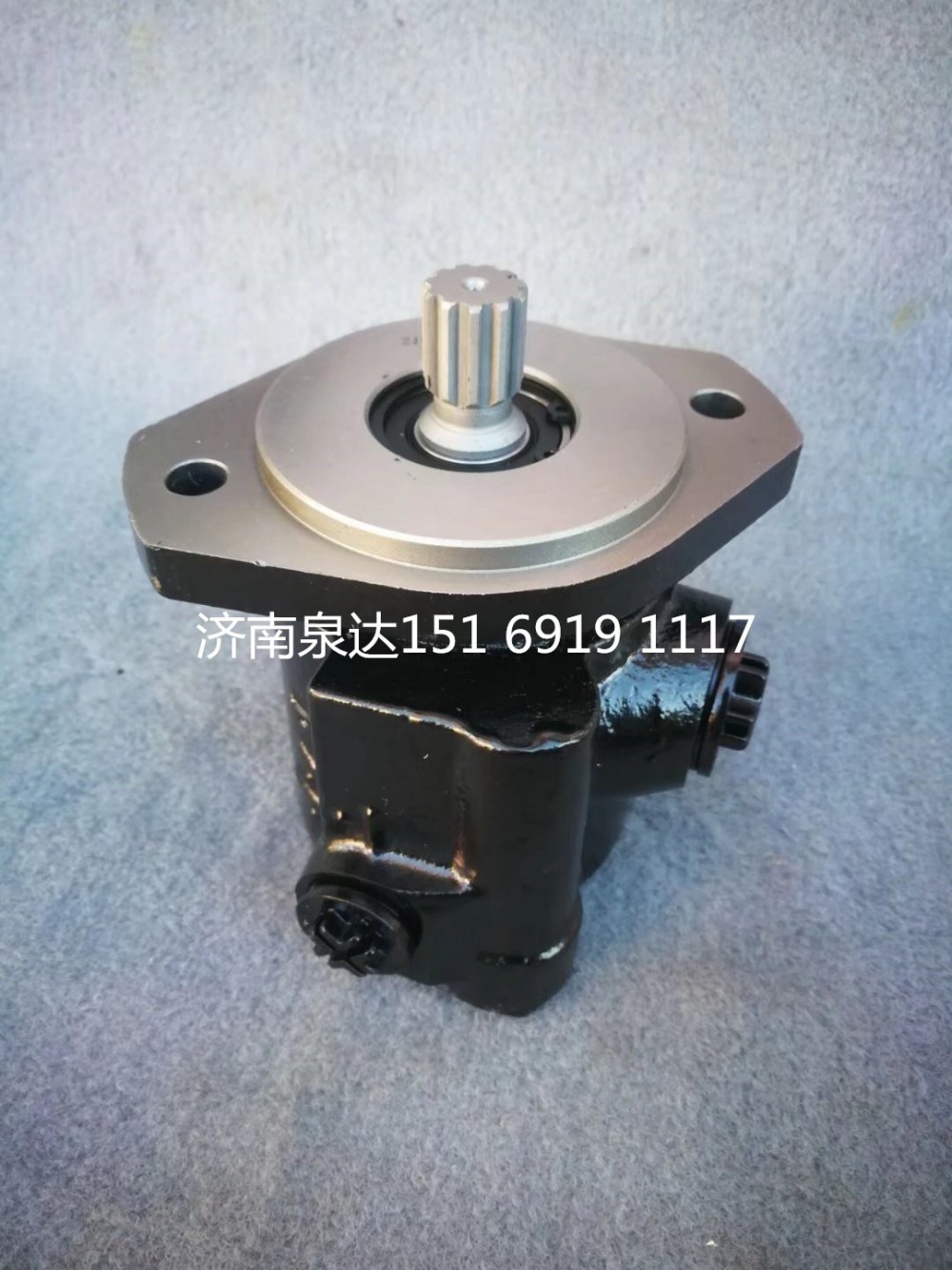 重汽輕卡楊柴2105發動機轉向泵助力泵液壓泵/LG9716471946