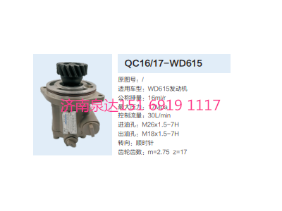 QC16/17-WD615,動力轉(zhuǎn)向齒輪泵,濟南泉達汽配有限公司