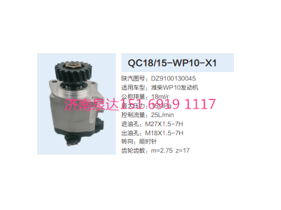 WC18/15-WP10-X1,動力轉向齒輪泵,濟南泉達汽配有限公司