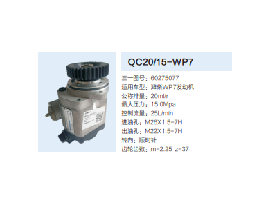 QC20/15-WP7,動力轉向齒輪泵,濟南泉達汽配有限公司