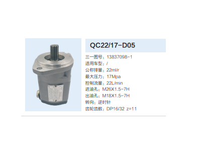 QC22/17-D05,轉向助力泵,濟南泉達汽配有限公司