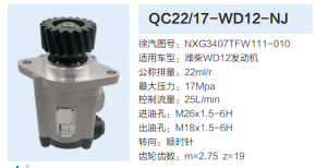 徐工重卡轉(zhuǎn)向齒輪泵助力泵液壓泵動(dòng)力轉(zhuǎn)向泵/NXG3407TFW111-010