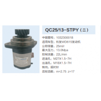 杭發WD615發動機轉向齒輪泵助力泵液壓泵動力轉向泵