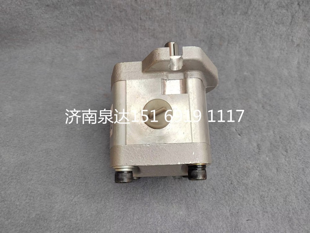 CBW-F312-AL3P,齒輪泵,濟南泉達汽配有限公司