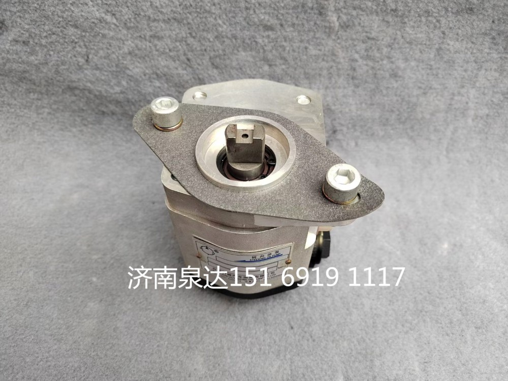 QC25/19-A3008,轉向助力泵,濟南泉達汽配有限公司