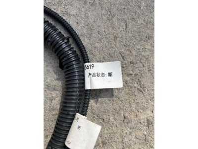 752-25429-6619/重汽汕德卡右前圍線束（C7側(cè)轉(zhuǎn)向燈）