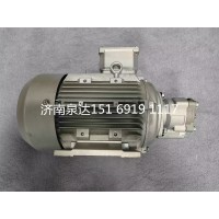新能源公交車客車電動液壓轉向助力泵總成液壓泵電機泵